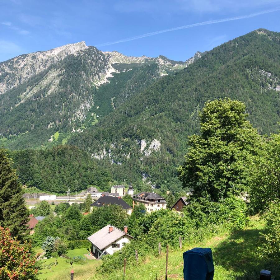 Ferienwohnung Im Nationalpark Gesaeuse Hieflau Dış mekan fotoğraf