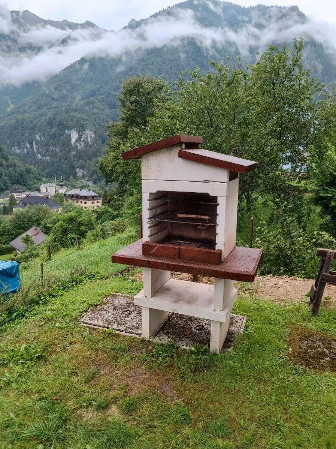 Ferienwohnung Im Nationalpark Gesaeuse Hieflau Dış mekan fotoğraf
